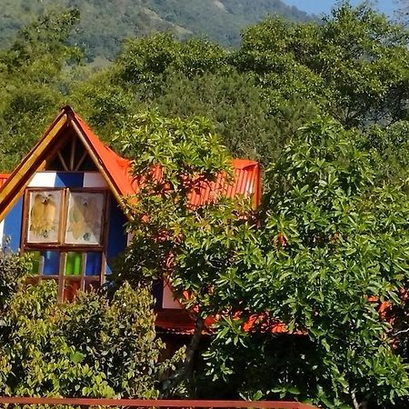 Hospedaje Rural Tupinamba Ibague Bagian luar foto